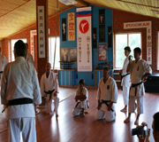 Honbu Dojo Федерации